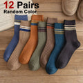 Solid Color Striped Mid Tube Socks Bundle 6x/12x
